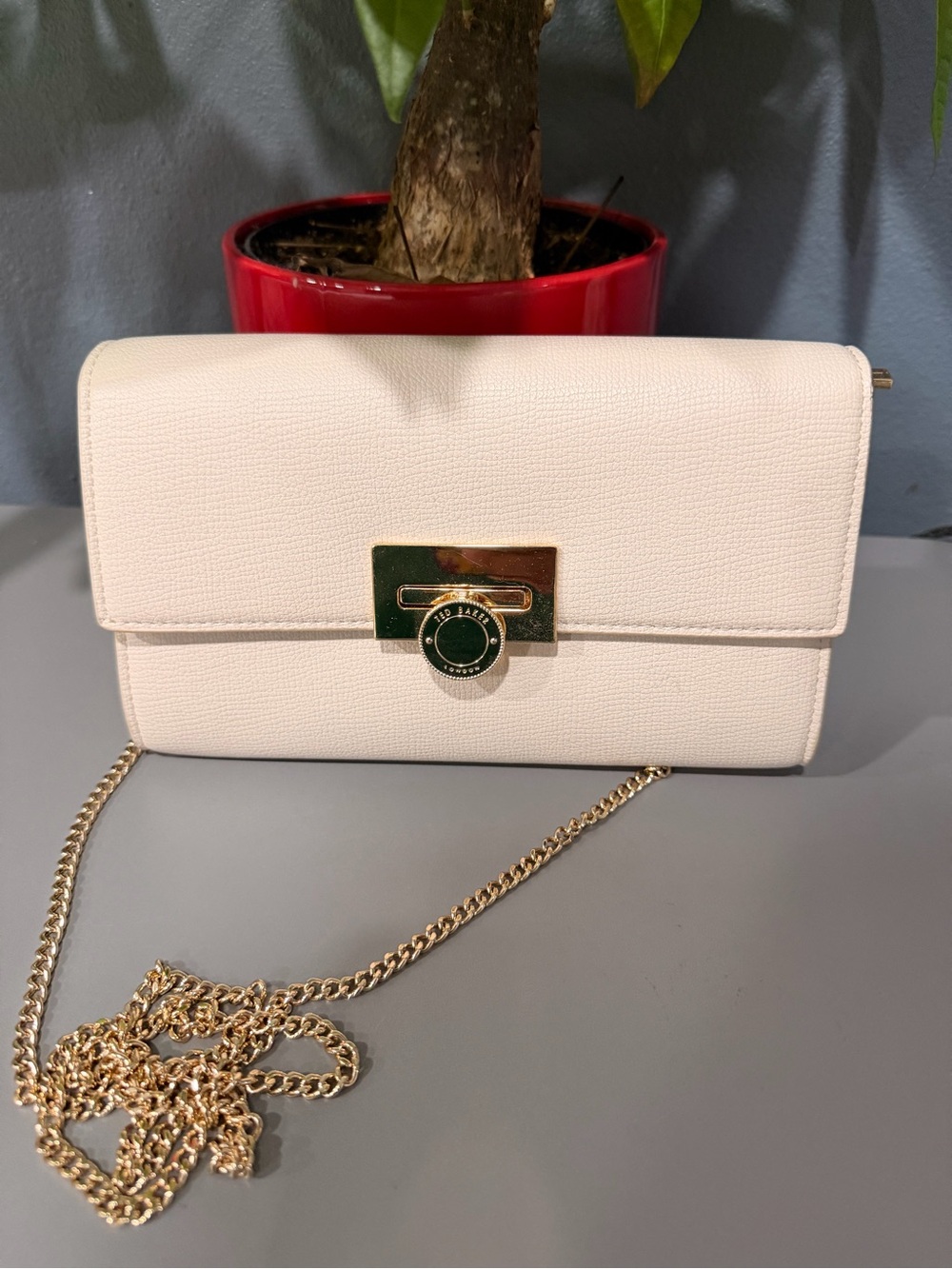 Ted Baker Cream Crossbody Bag with Gold Hardware